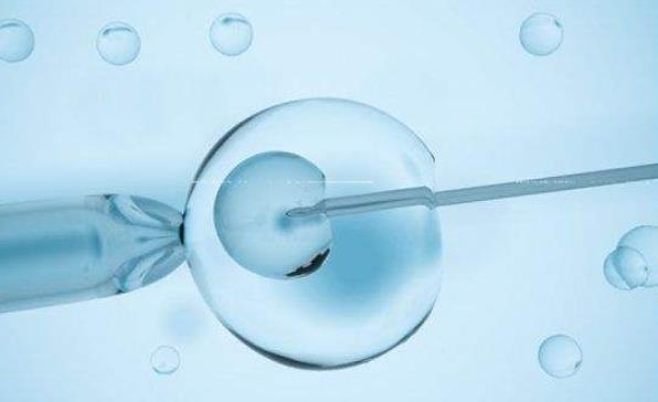 抗抗体阳性影响试管婴儿吗，对试管婴儿成功率的影响
