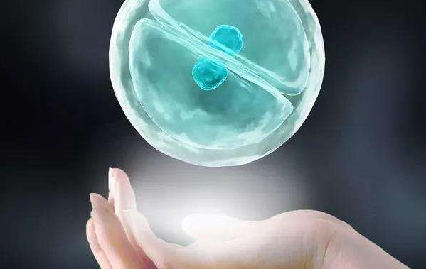 三代试管和二代试管有什么区别移植时间和胚胎筛选上大有不同