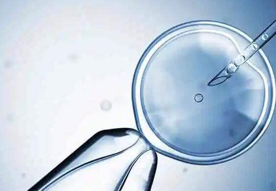 做试管婴儿胚胎移植手术还用男人吗内附原因分析