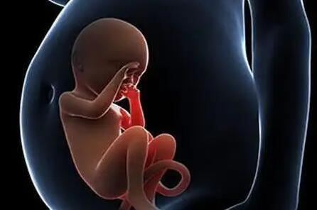 2024格鲁吉亚试管婴儿走向殖健康的新高度